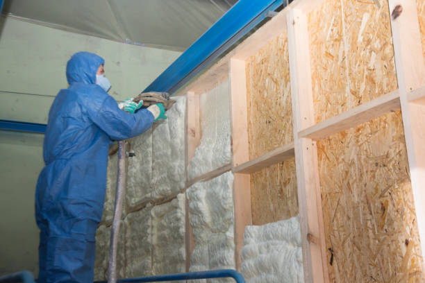 Best Attic Insulation Installation  in Chauvin, LA